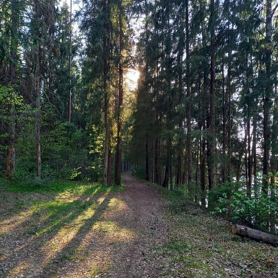 Ferienwohnung Ozolu Gatve 2- No Cesim 7 Km Jānamuiža Exterior foto