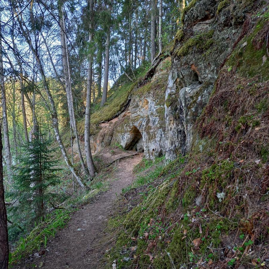 Ferienwohnung Ozolu Gatve 2- No Cesim 7 Km Jānamuiža Exterior foto