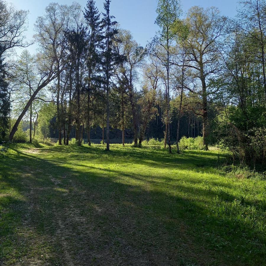Ferienwohnung Ozolu Gatve 2- No Cesim 7 Km Jānamuiža Exterior foto